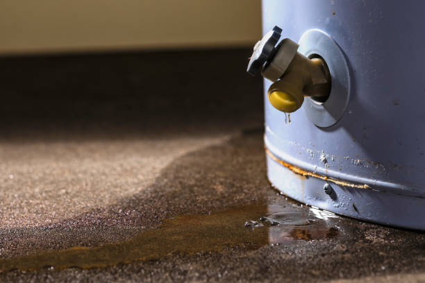 Best Sewage cleanup and water damage restoration  in Farmerville, LA