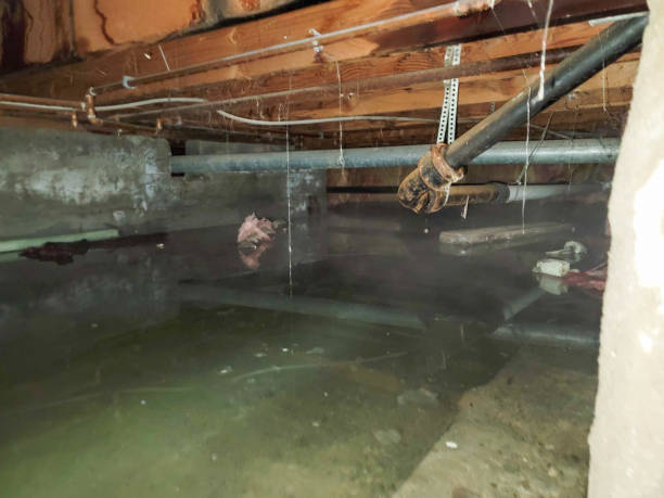  Farmerville, LA Water damage restoration Pros