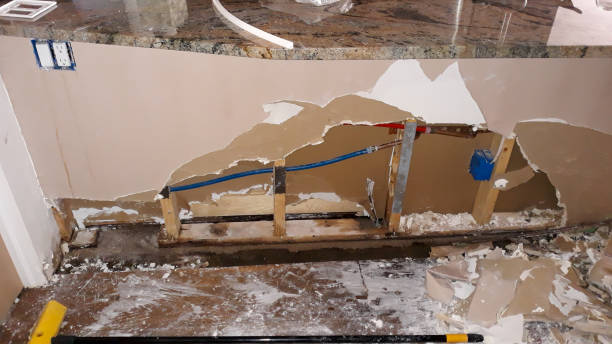 Best 24/7 water damage repair  in Farmerville, LA