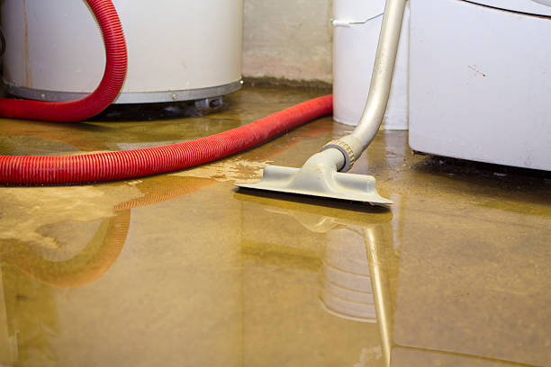 Best Flooded house restoration  in Farmerville, LA