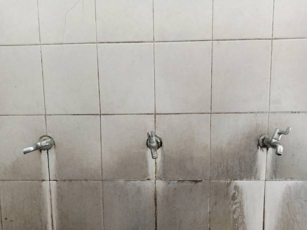 Best Local water damage restoration  in Farmerville, LA