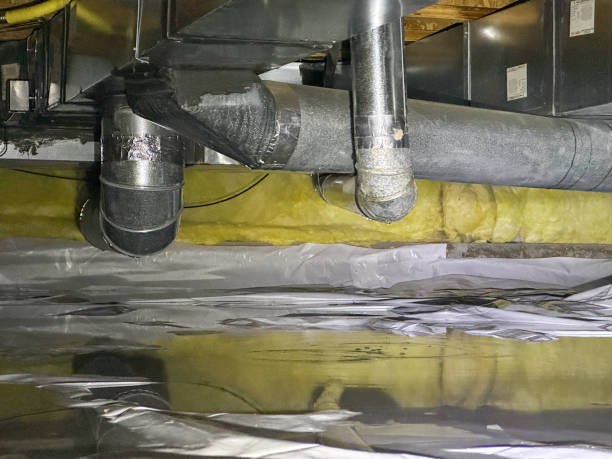 Best Flooded house restoration  in Farmerville, LA