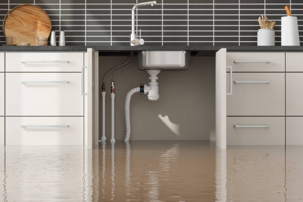 Best Ceiling water damage repair  in Farmerville, LA