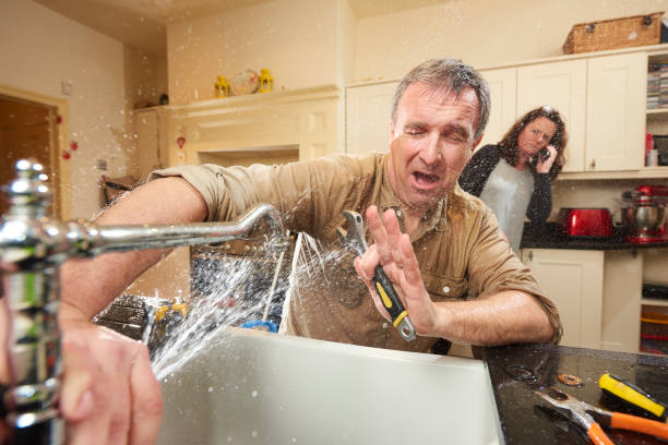 Best Flood damage cleanup  in Farmerville, LA